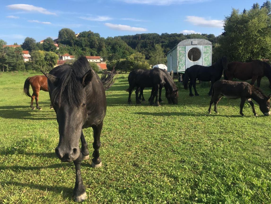 Glamping - Stylova Maringotka V Srdci Ladova Kraje, Pobliz Hlavniho Mesta Prahy Stribrna Skalice Buitenkant foto