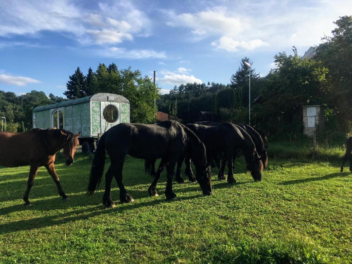 Glamping - Stylova Maringotka V Srdci Ladova Kraje, Pobliz Hlavniho Mesta Prahy Stribrna Skalice Buitenkant foto