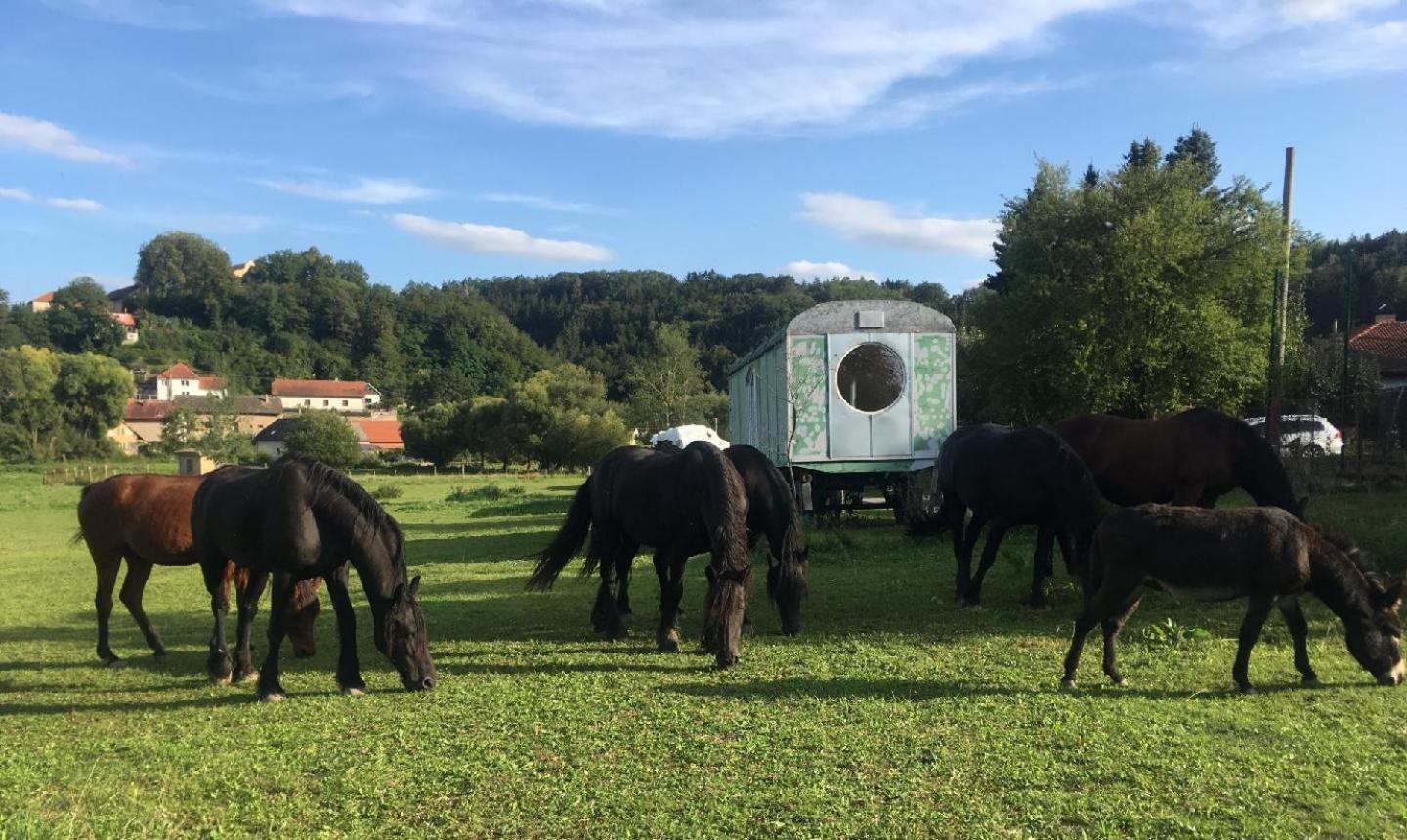 Glamping - Stylova Maringotka V Srdci Ladova Kraje, Pobliz Hlavniho Mesta Prahy Stribrna Skalice Buitenkant foto