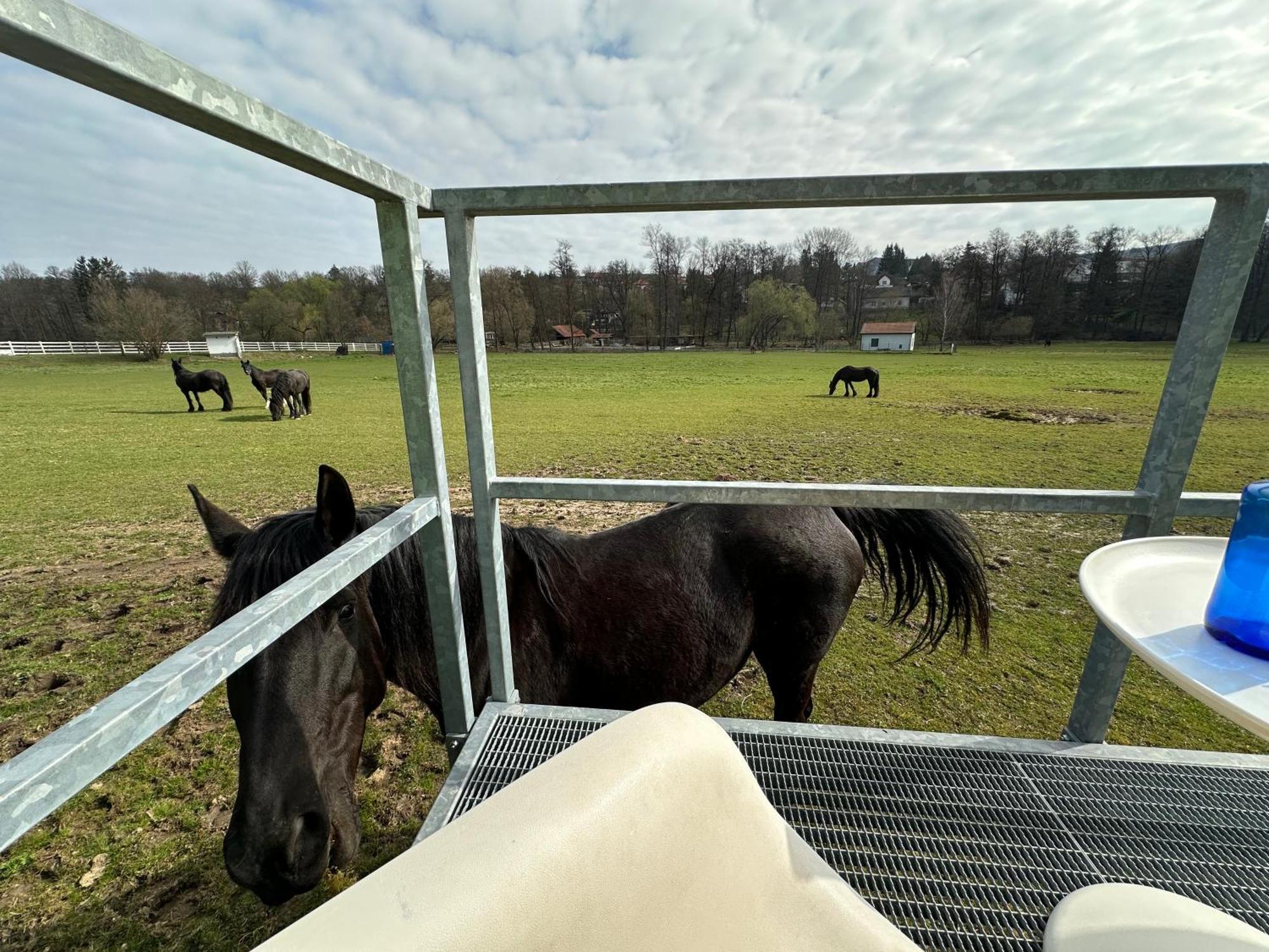 Glamping - Stylova Maringotka V Srdci Ladova Kraje, Pobliz Hlavniho Mesta Prahy Stribrna Skalice Buitenkant foto